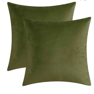 Velvet 2 Pillow Covers 20x20 Sage Green